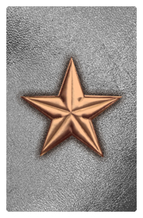 DF35T 430 BZ SL Star Bronze Silver